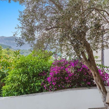 Bellavista 22 Apartman Puerto de Sóller Kültér fotó